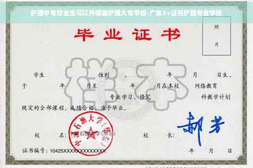 护理中专毕业生可以升哪些护理大专学校-广东3+证书护理专业学校