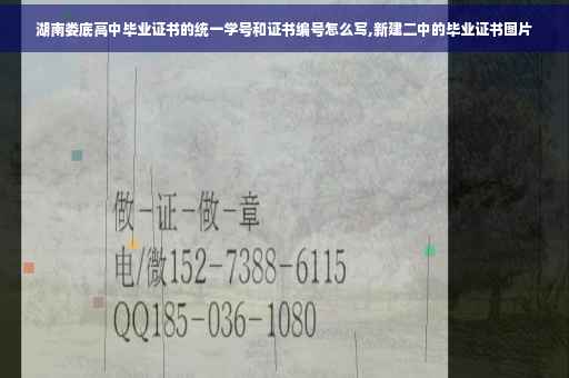 湖南娄底高中毕业证书的统一学号和证书编号怎么写,新建二中的毕业证书图片