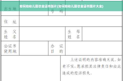 如何拍幼儿园毕业证书图片(如何拍幼儿园毕业证书图片大全)