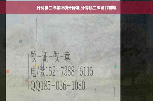 计算机二级等级划分标准,计算机二级证书有啥