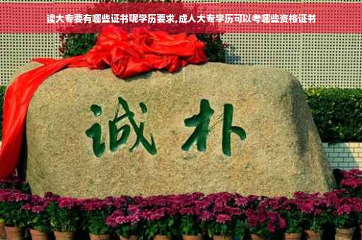 读大专要有哪些证书呢学历要求,成人大专学历可以考哪些资格证书