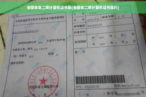 安徽省省二级计算机证书图(安徽省二级计算机证书图片)