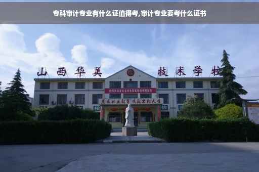 专科审计专业有什么证值得考,审计专业要考什么证书