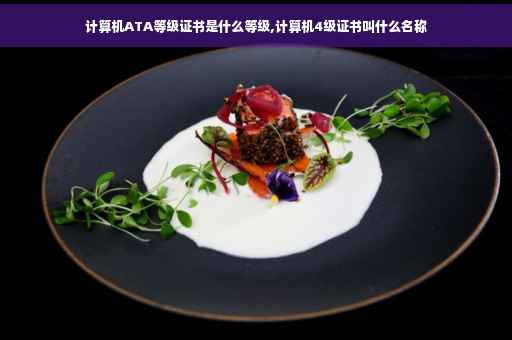 计算机ATA等级证书是什么等级,计算机4级证书叫什么名称 计算机ATA等级证书是什么等级,计算机4级证书叫什么名称