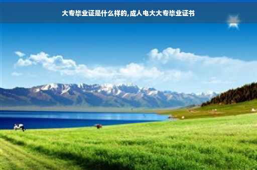 大专毕业证是什么样的,成人电大大专毕业证书