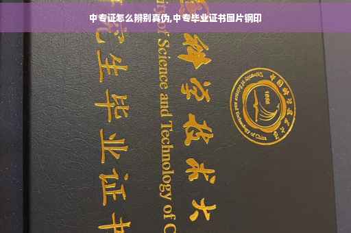 中专证怎么辨别真伪,中专毕业证书图片钢印