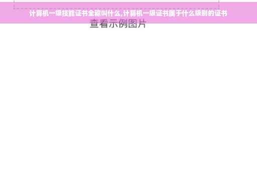 计算机一级技能证书全称叫什么,计算机一级证书属于什么级别的证书