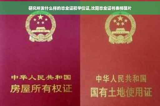 研究所发什么样的毕业证和学位证,沈阳毕业证书表格图片