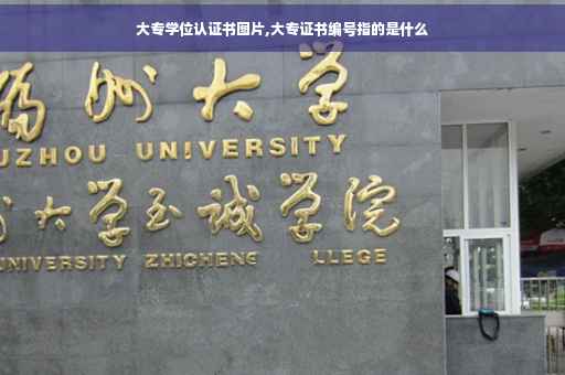 大专学位认证书图片,大专证书编号指的是什么