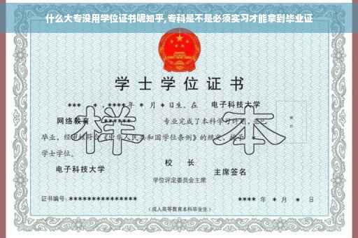 什么大专没用学位证书呢知乎,专科是不是必须实习才能拿到毕业证