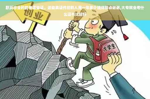 职高毕业的能考哪些证。这些真证件给别人用一年多少钱详细点谢谢,大专就业考什么证书比较好