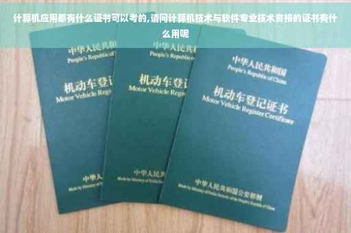 计算机应用都有什么证书可以考的,请问计算机技术与软件专业技术资格的证书有什么用呢