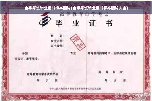 自学考试毕业证书样本图片(自学考试毕业证书样本图片大全)