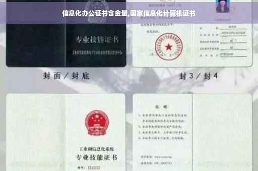 信息化办公证书含金量,国家信息化计算机证书