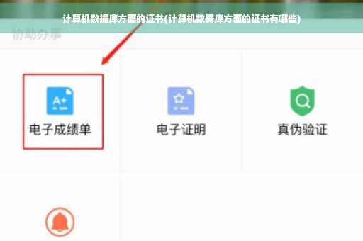 计算机数据库方面的证书(计算机数据库方面的证书有哪些)