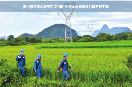 网上银行怎么看不到证书啊-为什么计算机证书查不到了呢