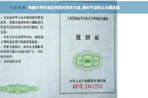 张掖中学毕业证书图片样本大全,液化气证怎么办理流程