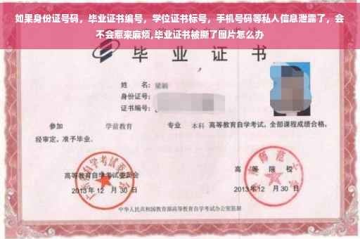 如果身份证号码，毕业证书编号，学位证书标号，手机号码等私人信息泄露了，会不会惹来麻烦,毕业证书被撕了图片怎么办