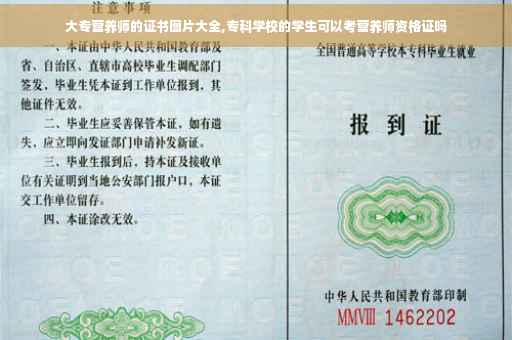 大专营养师的证书图片大全,专科学校的学生可以考营养师资格证吗