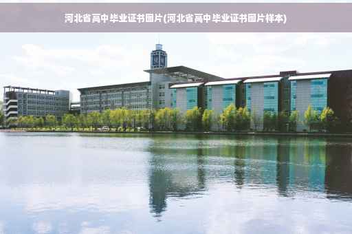 河北省高中毕业证书图片(河北省高中毕业证书图片样本)
