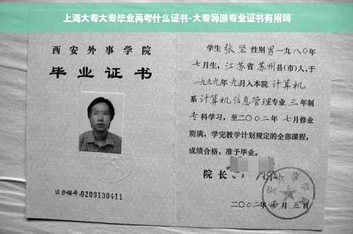 上海大专大专毕业再考什么证书-大专导游专业证书有用吗