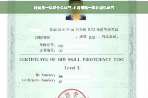 计算机一级是什么证书,上海市新一级计算机证书