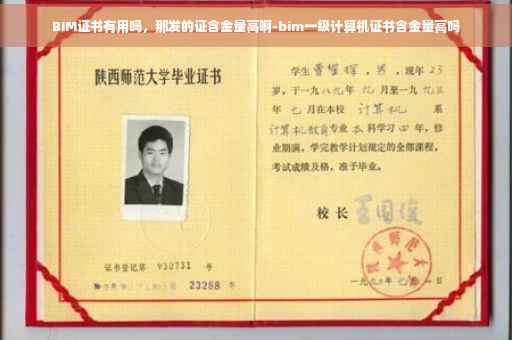 BIM证书有用吗，那发的证含金量高啊-bim一级计算机证书含金量高吗