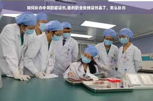 如何补办中级职称证书,我的职业资格证书丢了，怎么补办
