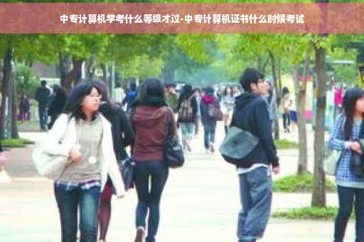 中专计算机学考什么等级才过-中专计算机证书什么时候考试
