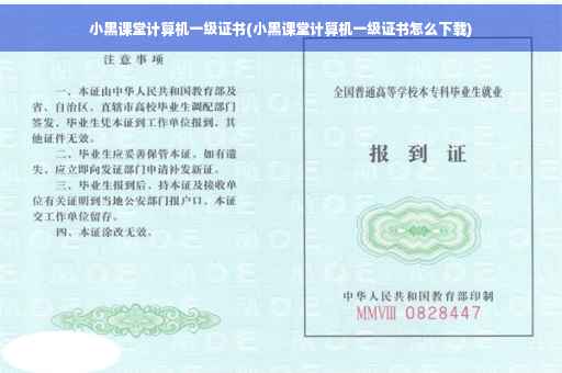 小黑课堂计算机一级证书(小黑课堂计算机一级证书怎么下载) 小黑课堂计算机一级证书(小黑课堂计算机一级证书怎么下载)