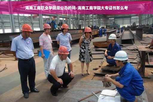 海南工商职业学院是公办的吗-海南工商学院大专证书怎么考