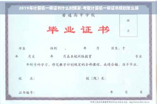 2019年计算机一级证书什么时候发-考取计算机一级证书规划怎么填