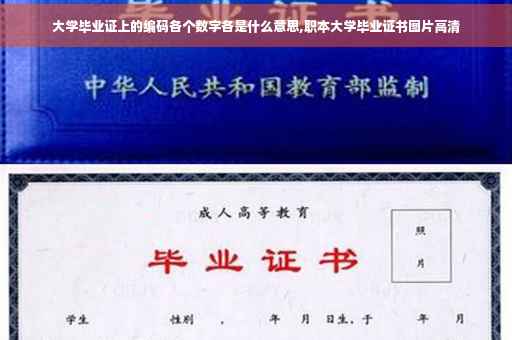 大学毕业证上的编码各个数字各是什么意思,职本大学毕业证书图片高清