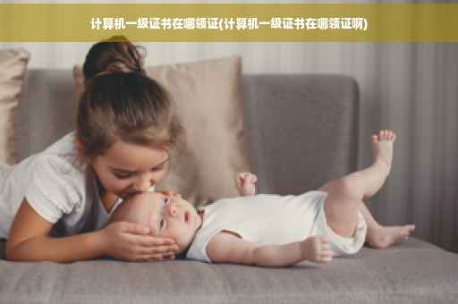 计算机一级证书在哪领证(计算机一级证书在哪领证啊)
