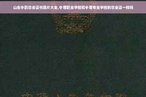 山东中职毕业证书图片大全,中等职业学校和中等专业学校的毕业证一样吗