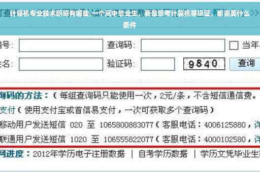 计算机专业技术职称有哪些,一个高中毕业生，要是想考计算机等级证，都需要什么条件