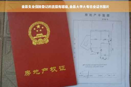金昌失业保险登记的流程有哪些,金昌大学大专毕业证书图片