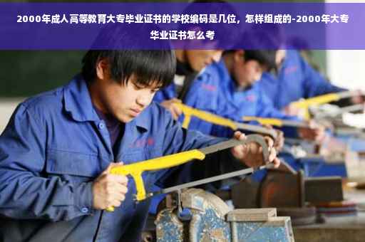 2000年成人高等教育大专毕业证书的学校编码是几位，怎样组成的-2000年大专华业证书怎么考