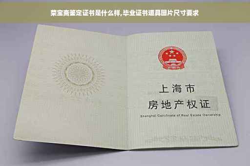 荣宝斋鉴定证书是什么样,毕业证书道具图片尺寸要求