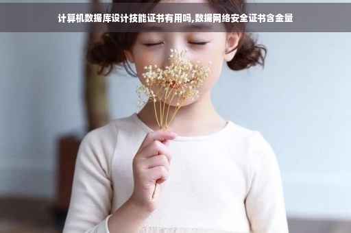 计算机数据库设计技能证书有用吗,数据网络安全证书含金量