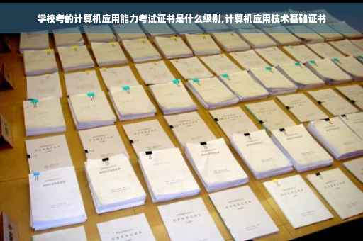 学校考的计算机应用能力考试证书是什么级别,计算机应用技术基础证书