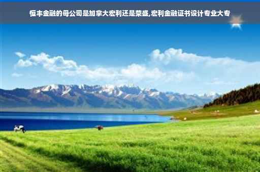恒丰金融的母公司是加拿大宏利还是荣盛,宏利金融证书设计专业大专