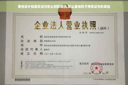 奢侈品中检鉴定证书怎么辨别真伪,怎么查询孩子考级证书的真伪
