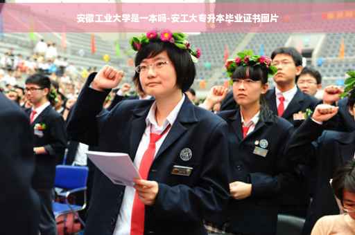 安徽工业大学是一本吗-安工大专升本毕业证书图片