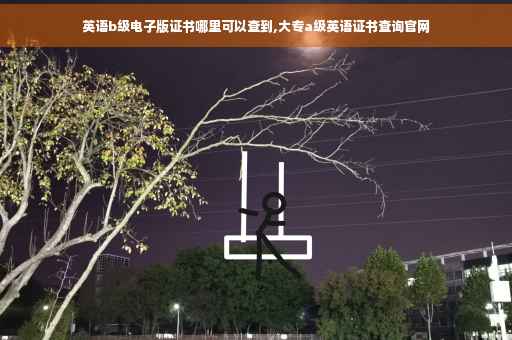 英语b级电子版证书哪里可以查到,大专a级英语证书查询官网