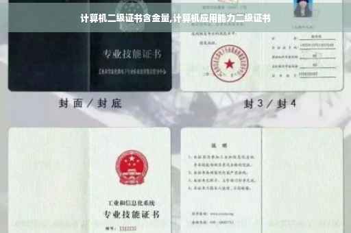 计算机二级证书含金量,计算机应用能力二级证书