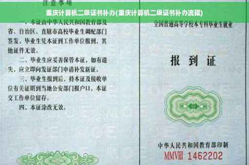 重庆计算机二级证书补办(重庆计算机二级证书补办流程)