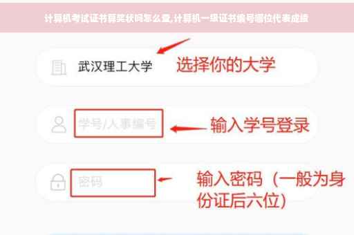 计算机考试证书算奖状吗怎么查,计算机一级证书编号哪位代表成绩