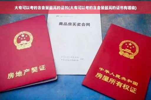 大专可以考的含金量最高的证书(大专可以考的含金量最高的证书有哪些)