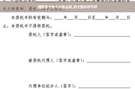 濮阳市十中十小怎么样,市十初中好不好